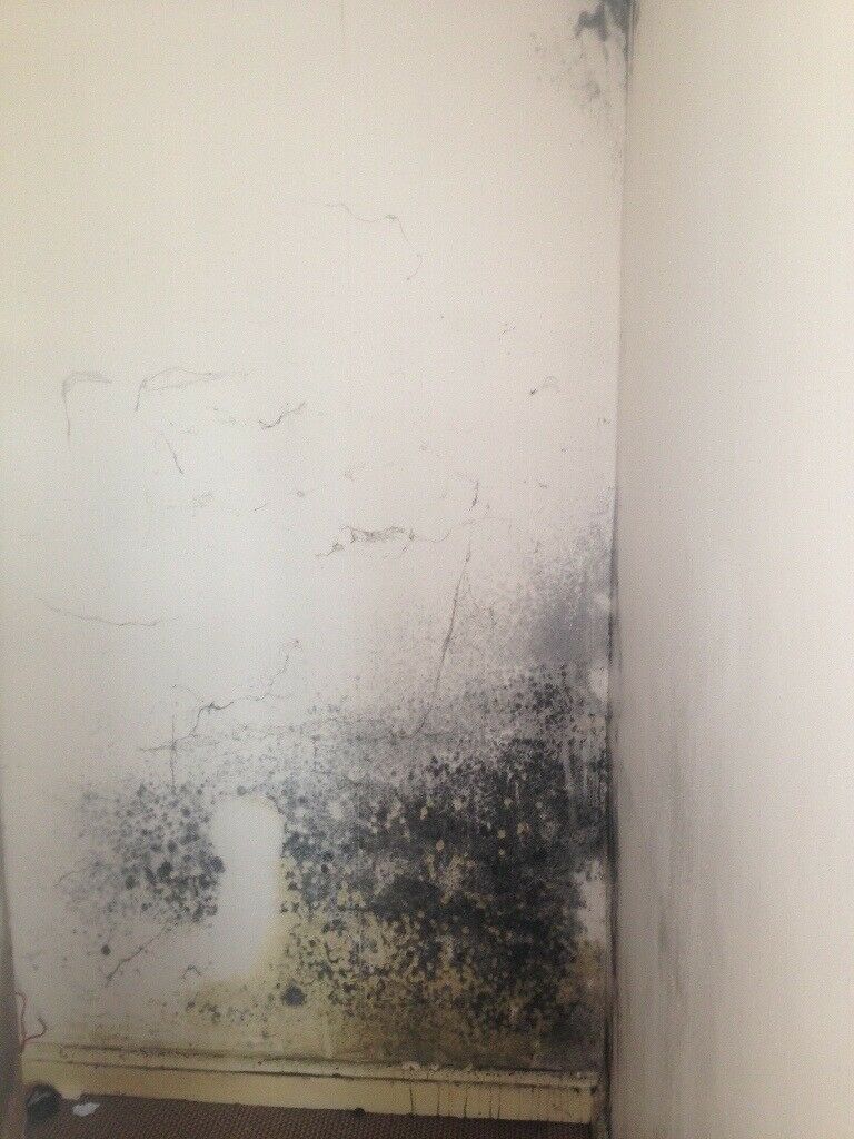 Leaking gutter repair in manchester